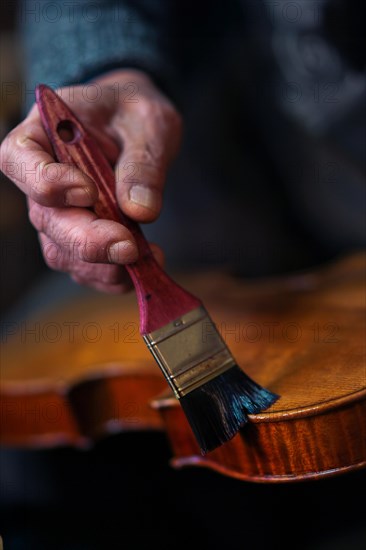 Senior expert violin maker luthier