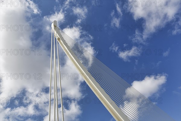 White cable-stayed bridge in the shape of a harp