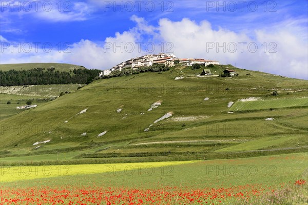 Castelluccio in the Sibillini Mountains during wildflower season