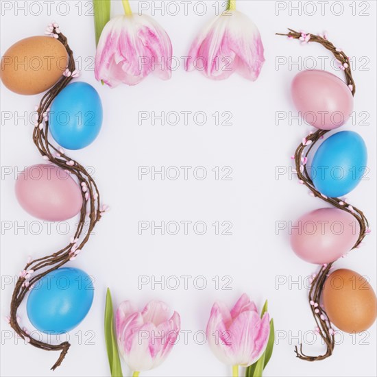 Frame from tulips eggs