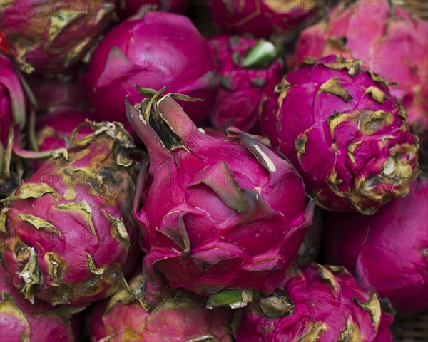 Close up assortment dragon fruits