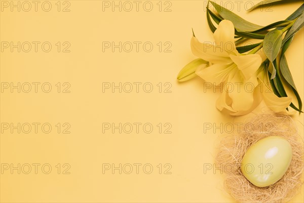 Elevated view fresh lily flower with easter egg nest yellow backdrop
