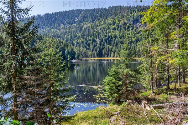 Nature reserve Grosser Arbersee with lake wall 1340m