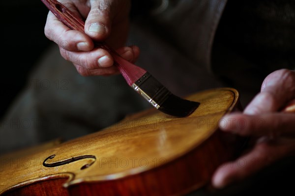 Senior expert violin maker luthier