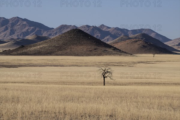 Tiras Mountains