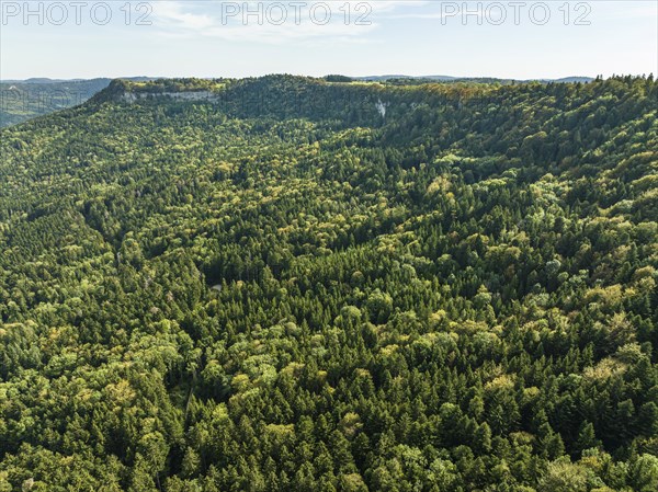 Autumn forest at Lochenhoernle