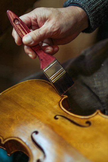 Senior expert violin maker luthier