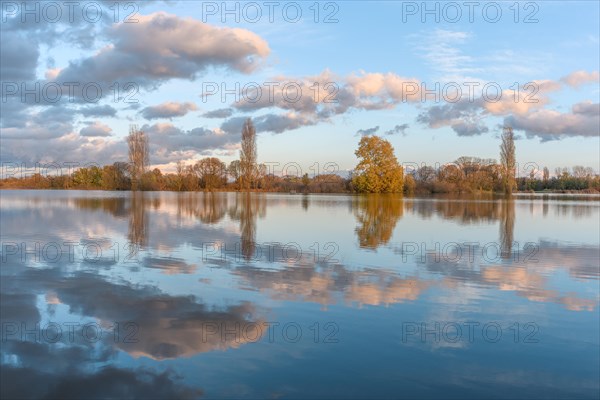 Flooded meadow after heavy rains. Autumn landscape. Bas-Rhin