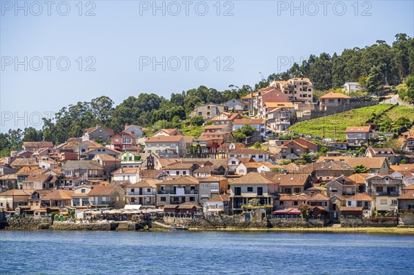 Beautiful city ocean landscape