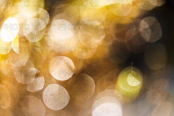 Natural Bokeh in Marshes for background