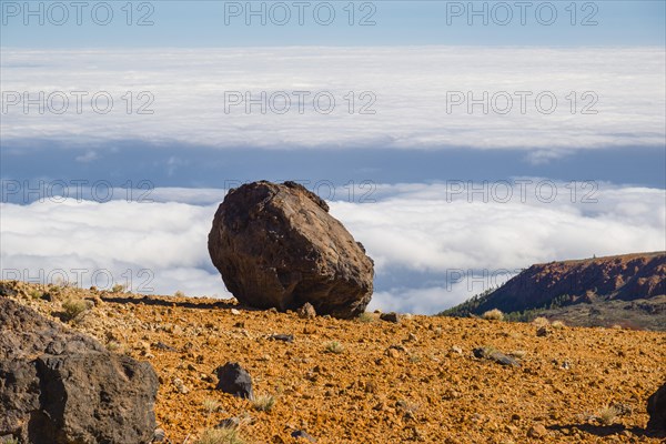 Huevos del Teide