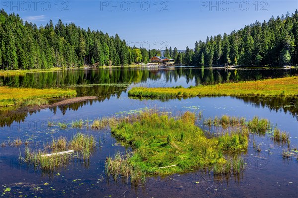 Nature reserve Grosser Arbersee with Arberseehaus