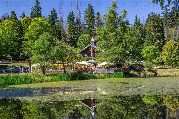 Schwellteich pond with the historic Trifterklause Schwellhaeusl inn in the Bavarian Forest National Park