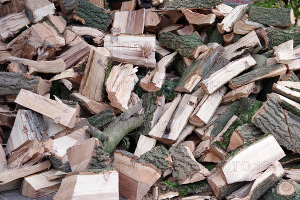 Firewood