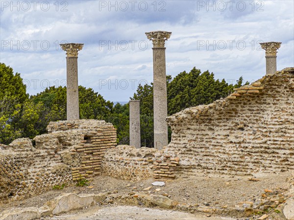 Antique Villa Romana with view of Giglio Island