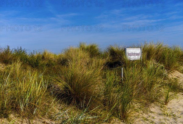 Beach access with sand dunes