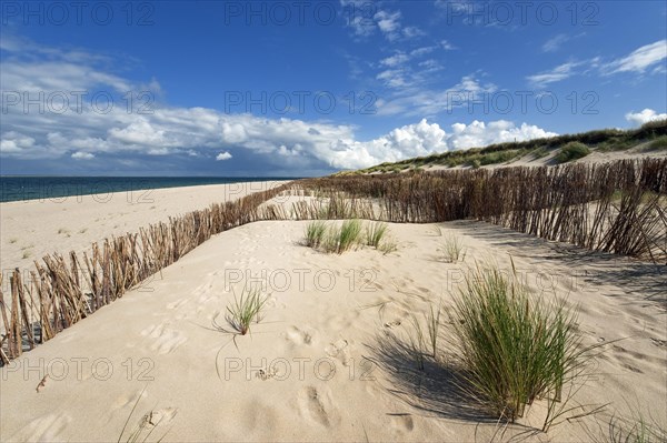 Dune landscape at Ellenbogen