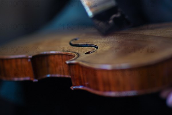 Senior expert violin maker luthier