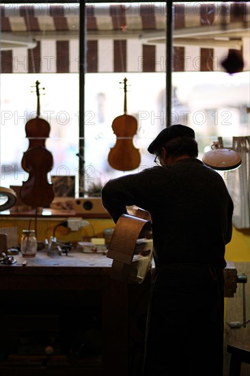 Senior expert luthier artisan violin maker carve sculpt chisel ribs of a new classical model cello in workshop Cremona Italy