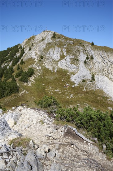 Scheinbergspitze