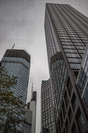 Cityscape on the Main with the skyline in the evening