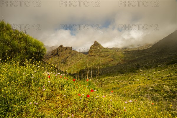 Teno Mountains