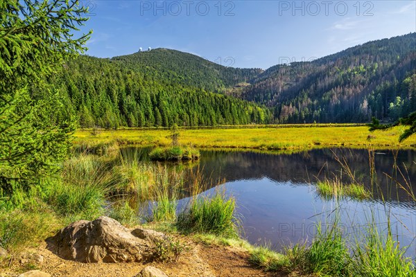 Nature reserve Kleiner Arbersee with floating islands and Grosser Arber 1456m