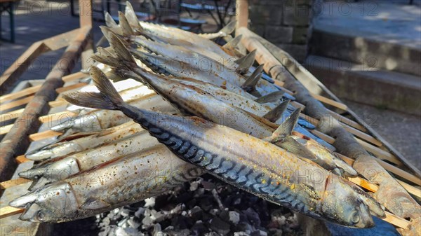 Fish on the charcoal grill