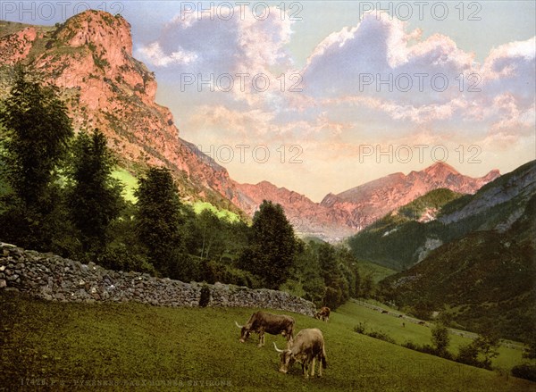 Pyrenean landscape near Eaux Bonnes