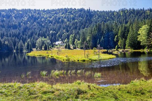 Kleiner Arbersee nature reserve with Seehaeusl inn