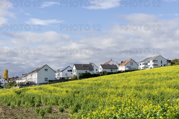 Modern apartment blocks