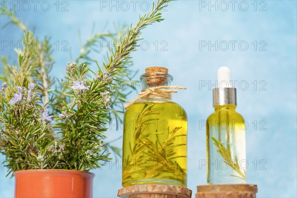Glass bottle and dropper with rosemary and lavender essential oil on wooden discs next to a jar with fresh rosemary branches and blue background