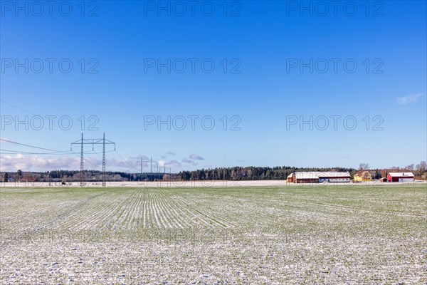 Power line across a field at a farm with snow on the ground on a cold winter day