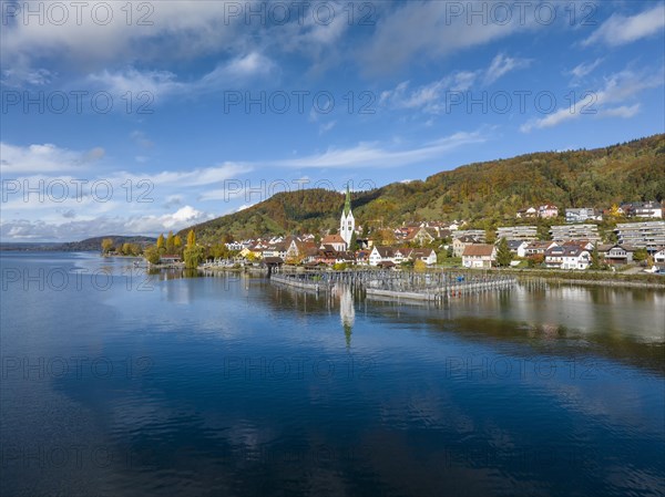 Aerial view of the village of Sipplingen on Lake Constance with autumn vegetation