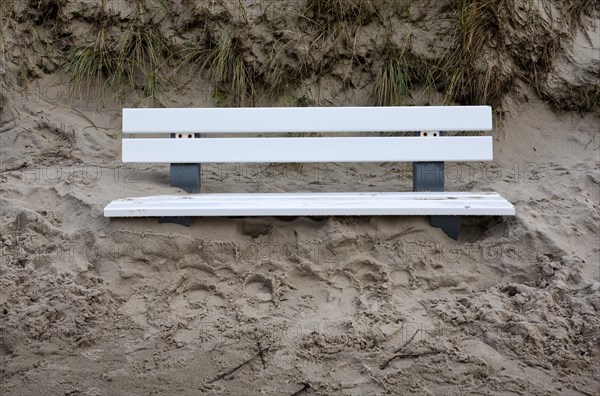 Bench