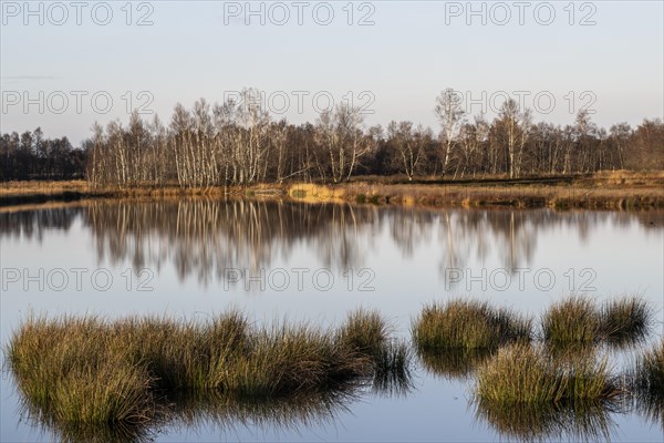 Moorland