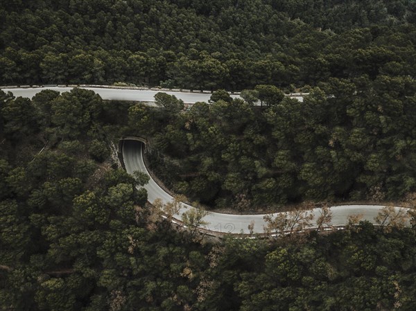 Elevated view road forest landscape