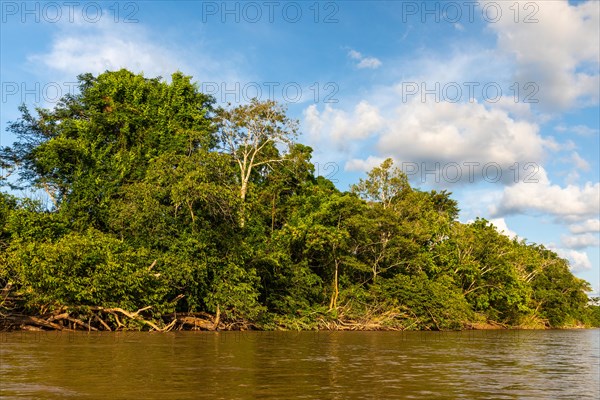 Rio Guayabero