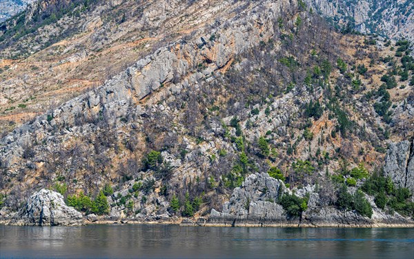 GREEN CANYON