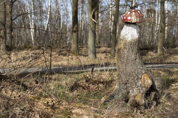 Fly agaric