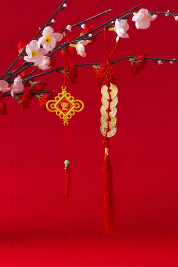 Beautiful chinese new year concept 2