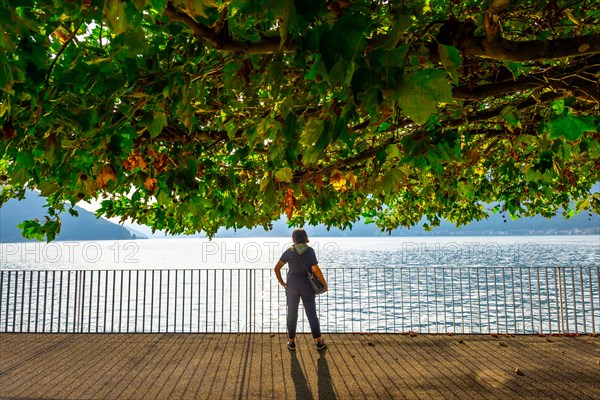 Woman Standing Below a Beautiful Tree with Branch on the Waterfront with Railing to Lake Lugano with Mountain in a Sunny Summer Day in Bissone