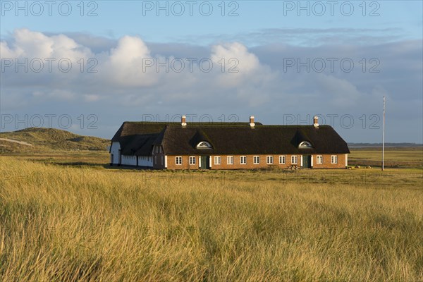 Historic farm in the dunes by Tim's car park