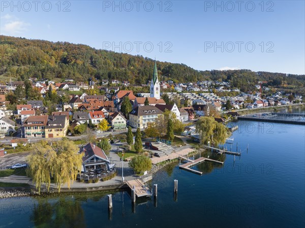 Aerial view of the village of Sipplingen on Lake Constance with autumn vegetation