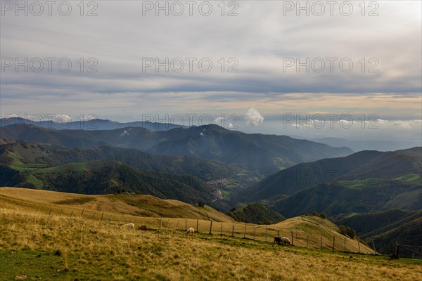View over Beautiful Mountainscape with Clouds and Sheep in a Sunny Day in Valley Muggio in Ticino