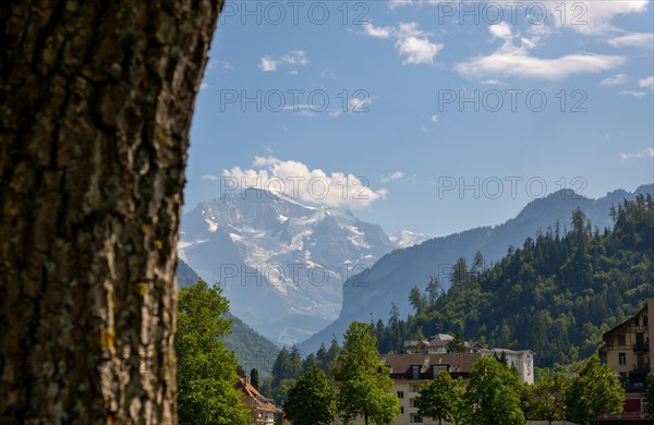 Snow Capped Jungfraujoch Mountain Peak in a Sunny Day in Interlaken