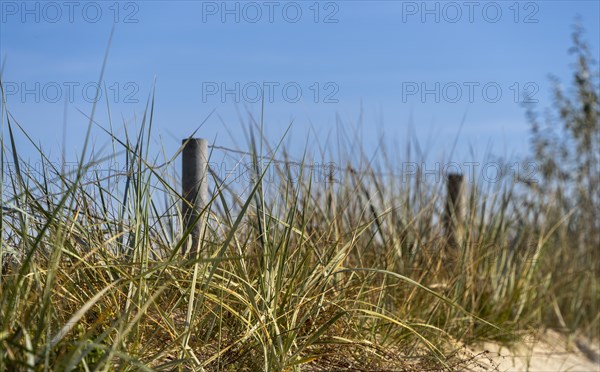 Beach access with sand dunes