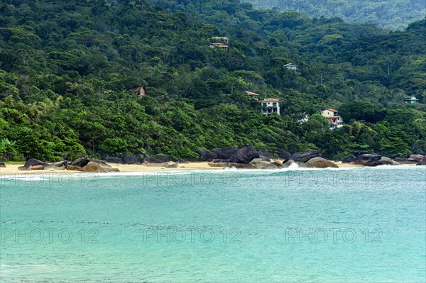 Beach surrounded by forest in Trindade