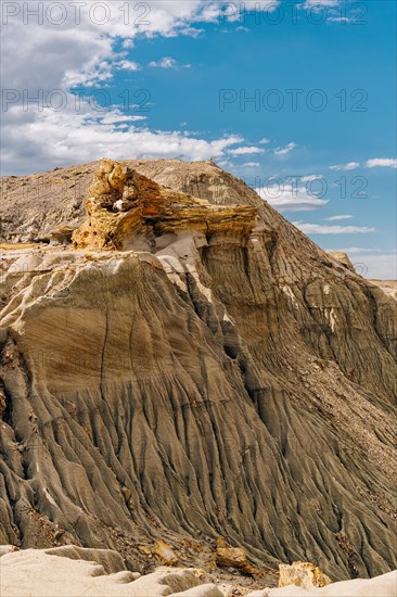 Petrified Forest Sarmiento