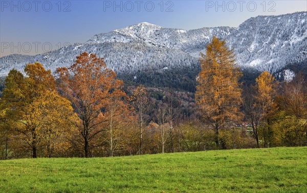 Autumn landscape near the hamlet of Weichs with Heimgarten 1791m